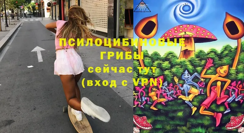 Псилоцибиновые грибы Magic Shrooms  где найти   Кукмор 